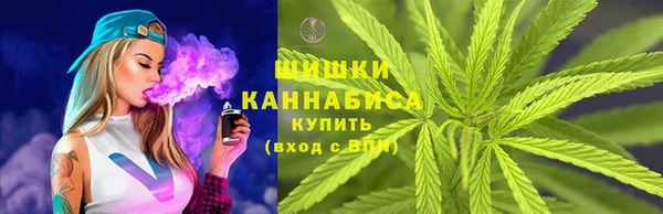 дурь Пестово